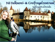 Falknerei- und Greifvogelzentrum Waldreichs